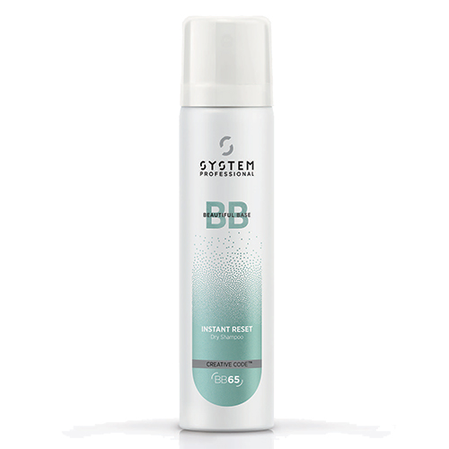 BB INSTANT RESET  - SYSTEM PROFESSIONAL